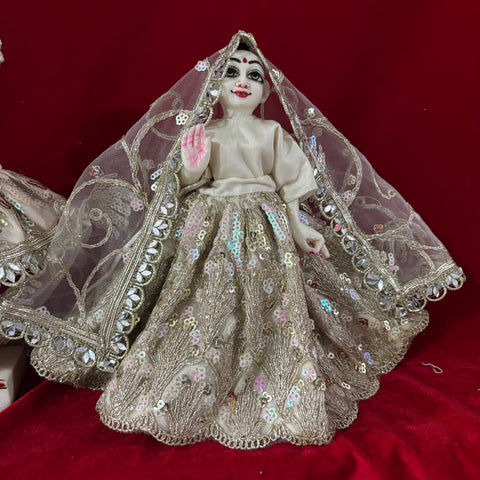 9 Inch Yugal Sarkar Heavy Dress